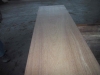 2x24-mahogany-countertop-880px