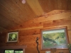 Douglas Fir Paneling Western Hemlock Ceiling