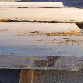 pine-slab-004