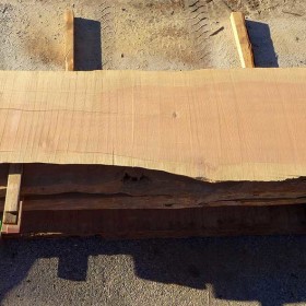 pine-slab-006