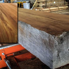 tigerwood-beam-002