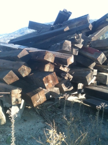 Doug Fir beams