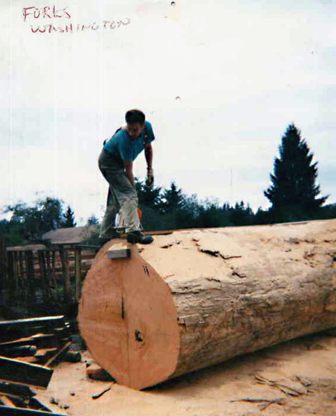 The big sticks