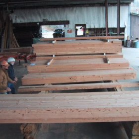 Inspecting Doug Fir