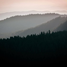 Sierra National Forest