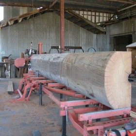 2014-Renes-Mahogany-Slab