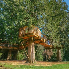 2015-bubba-treehouse-001