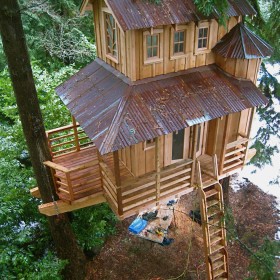Ashmun Treehouse from Above