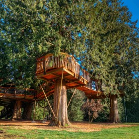 Treehouse 3