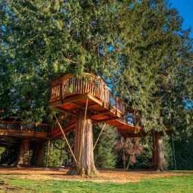 Treehouse 3
