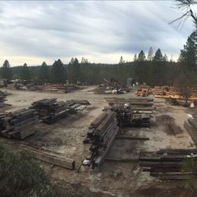 Truckloads-of-misc-timbers